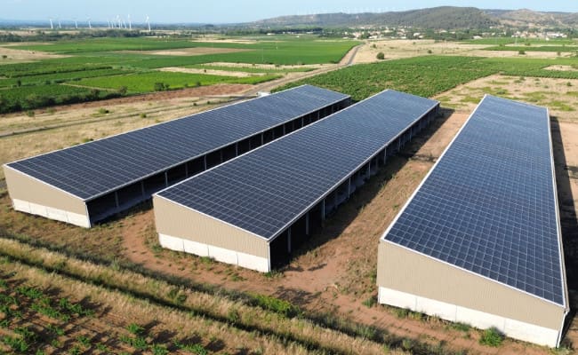 Hangars photovoltaïques de la distillerie d’Ornaisons